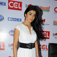 Shriya Saran new pictures | Picture 47241